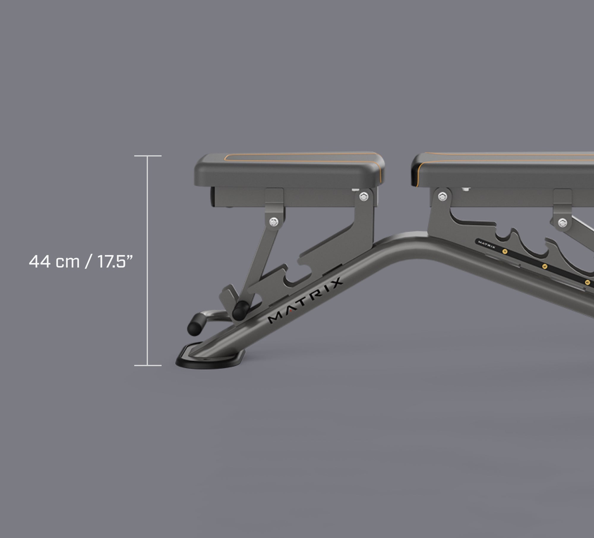 Multi-Adjustable Bench