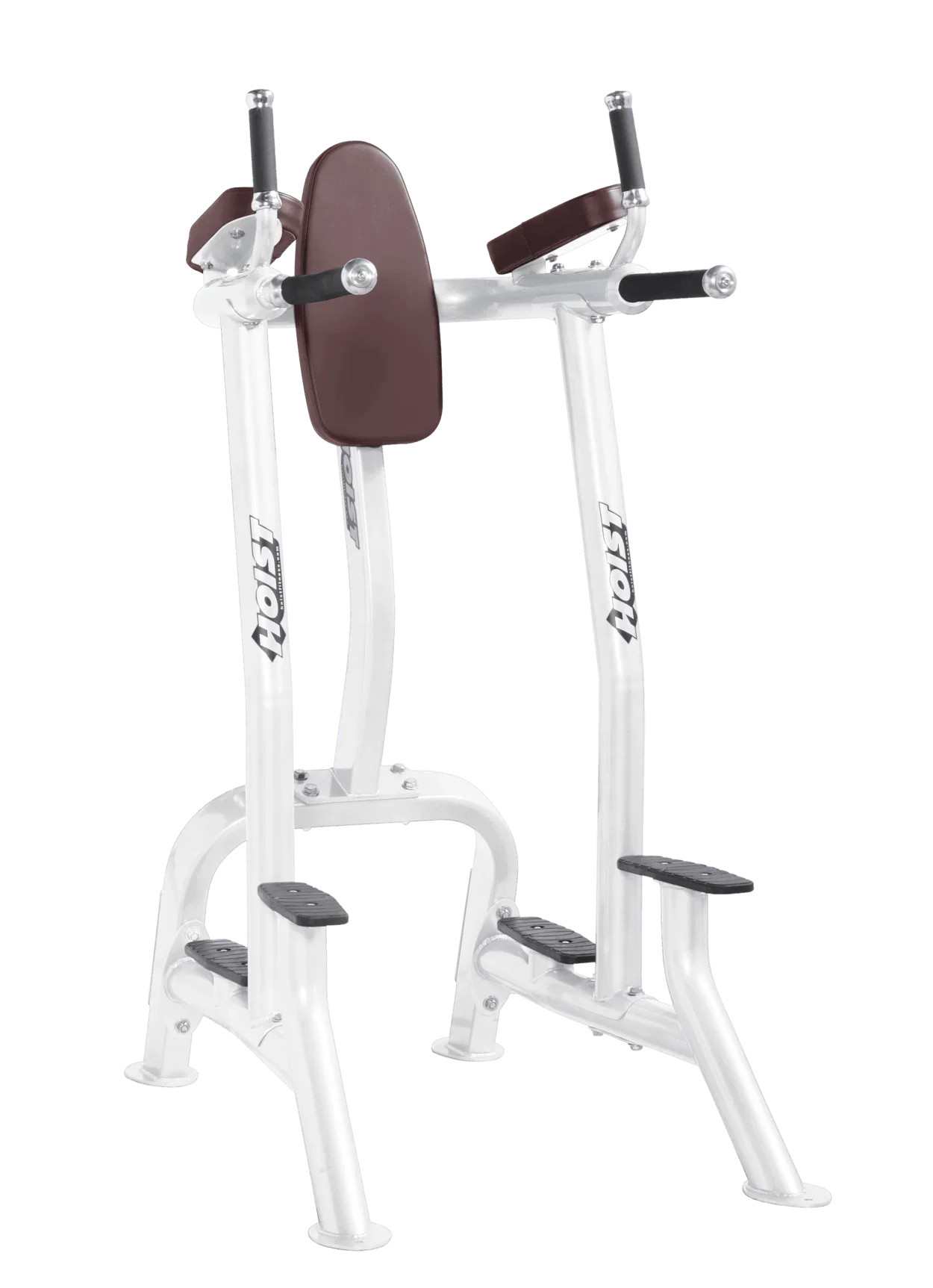 Commercial Vertical Knee Raise & Dip (CF-3252)