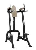 Commercial Vertical Knee Raise & Dip (CF-3252)