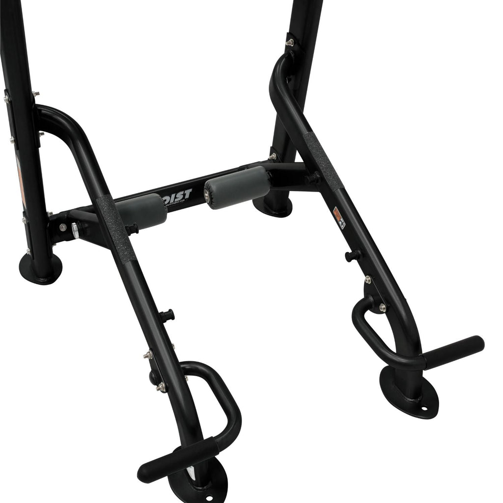 Fitness Tree