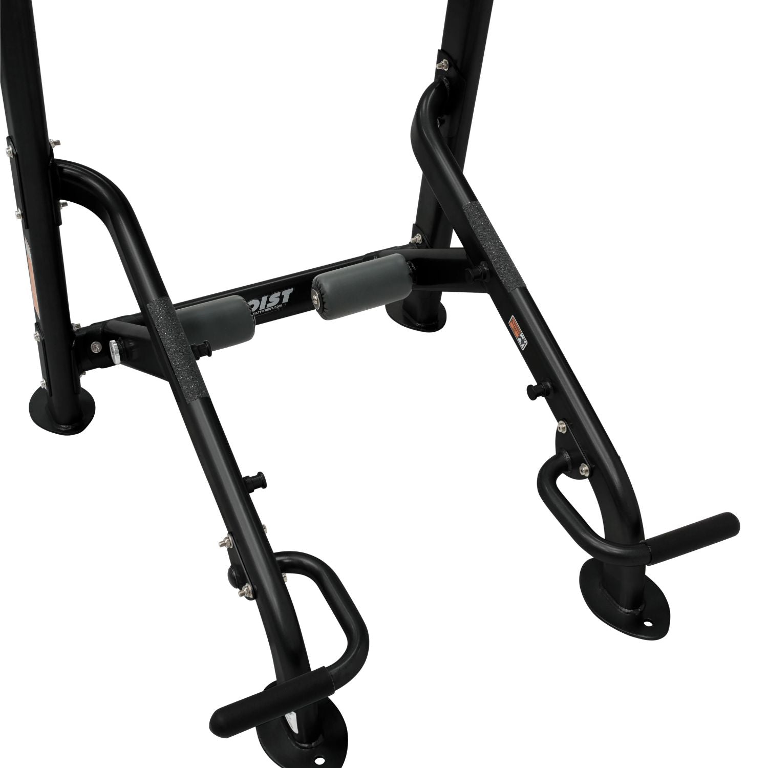 Fitness Tree