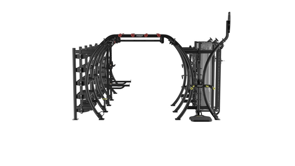 Seven Element Functional Bridge
