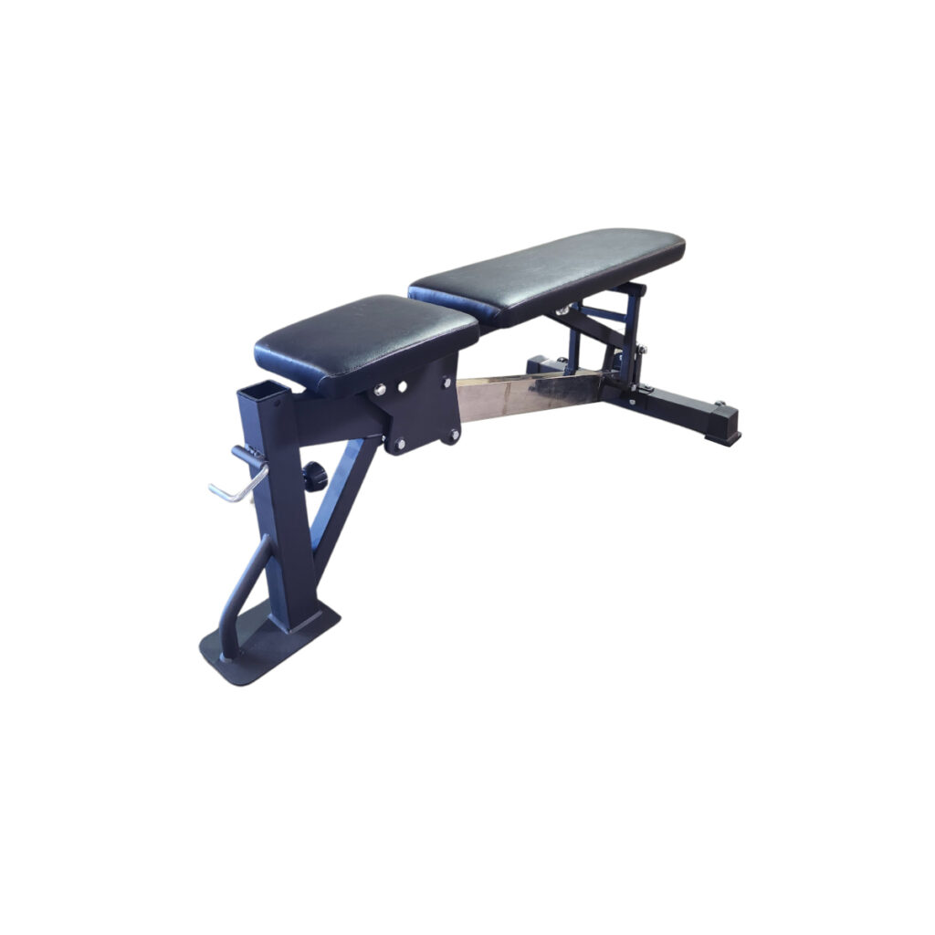Paradigm Multi-Functional Bench