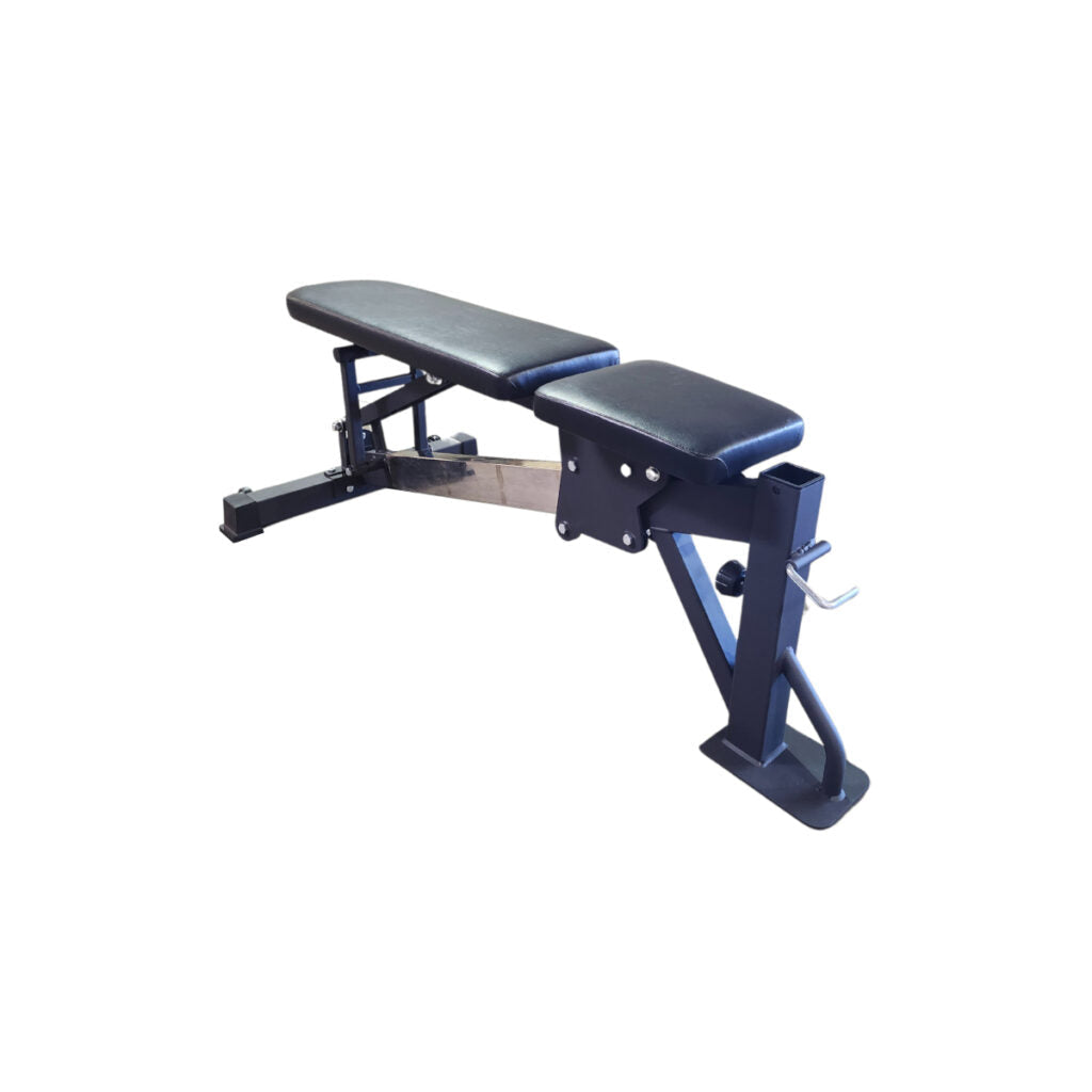 Paradigm Multi-Functional Bench