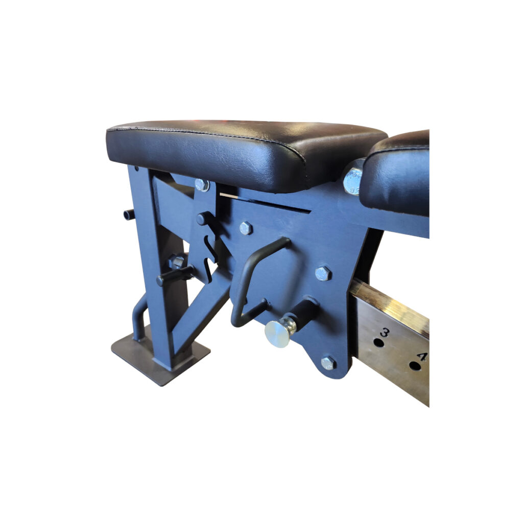 Paradigm Multi-Functional Bench