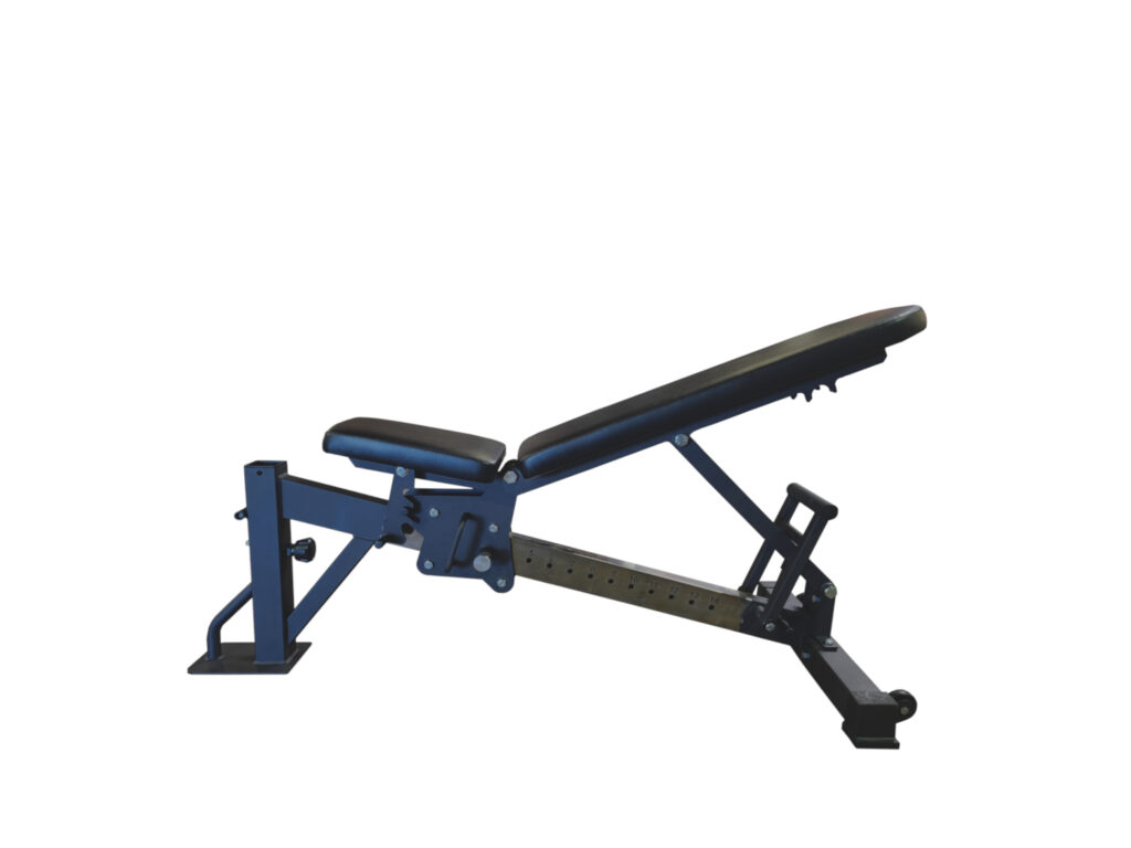 Paradigm Multi-Functional Bench