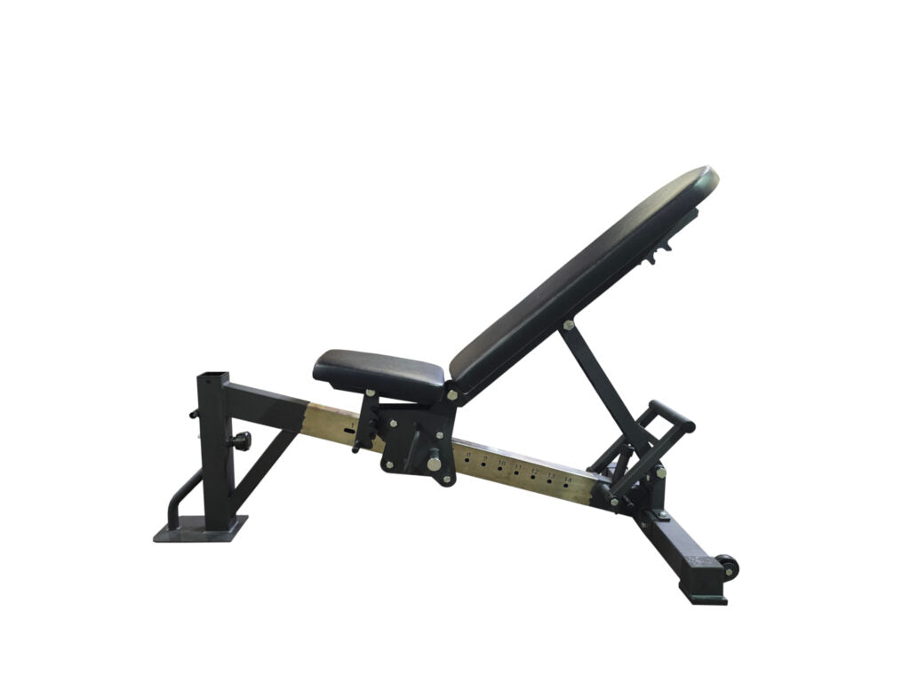 Paradigm Multi-Functional Bench