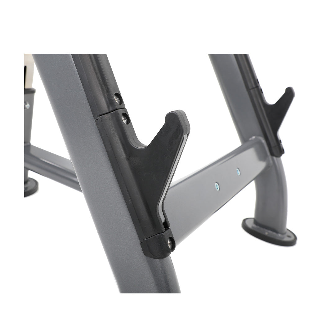 Preacher Curl Bench
