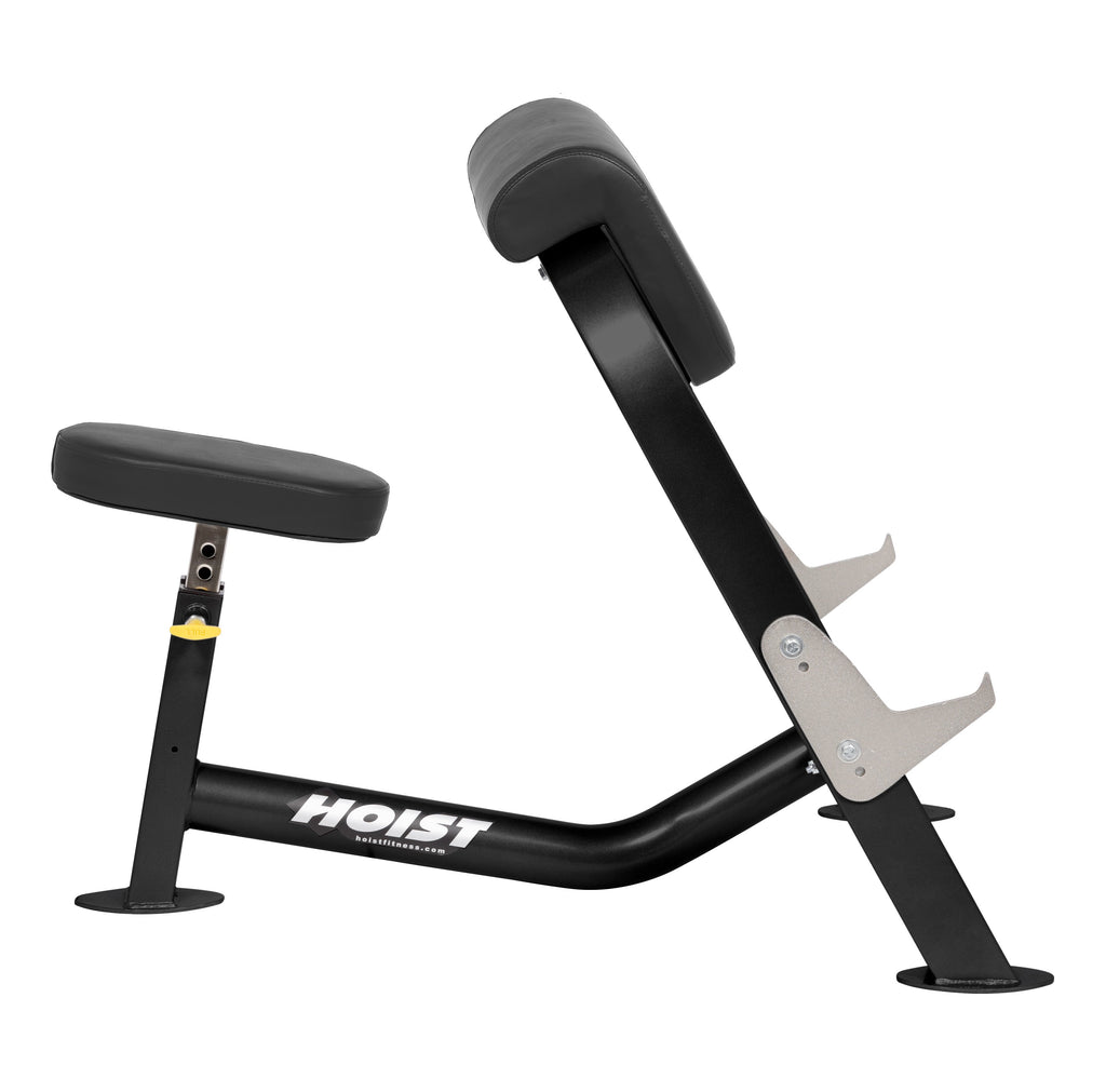 Preacher Curl Bench