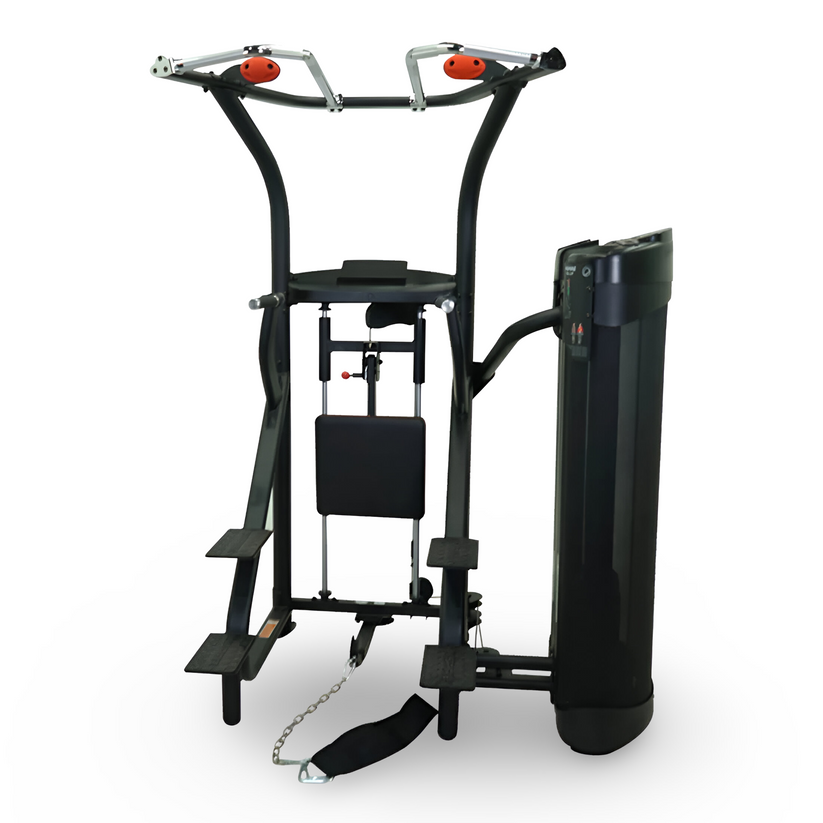 Commercial Dual Assisted/Weighted Chin-Up/Dip